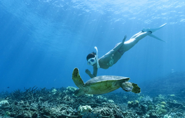 Snokeling / Stand-Up Paddle