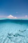 DSC03735