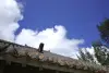 R0000387